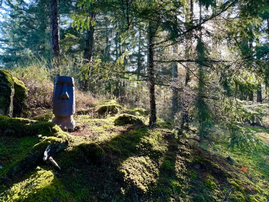 Meet Glen - the official guardian of Sonic Forest Studios